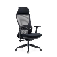 DSC_9773_1000 рис1