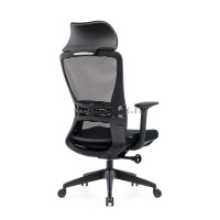 DSC_9778_1000 рис4