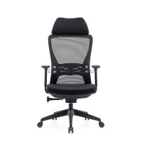 DSC_9769_1000 рис2