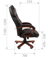 CHAIRMAN_406_8 рис5