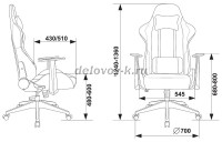 1972993_v21_b_1000 рис2